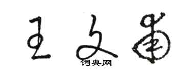骆恒光王文甫草书个性签名怎么写