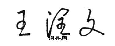 骆恒光王润文草书个性签名怎么写