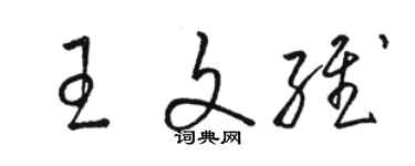 骆恒光王文维草书个性签名怎么写