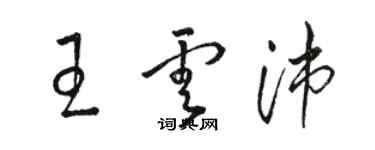 骆恒光王云沛草书个性签名怎么写