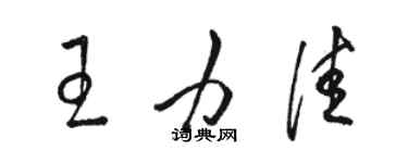 骆恒光王力佳草书个性签名怎么写