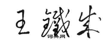 骆恒光王铁成草书个性签名怎么写