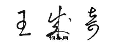 骆恒光王成奇草书个性签名怎么写