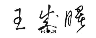 骆恒光王成曙草书个性签名怎么写
