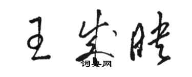 骆恒光王成映草书个性签名怎么写