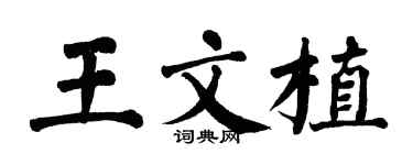翁闿运王文植楷书个性签名怎么写