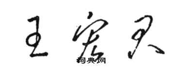 骆恒光王宏君草书个性签名怎么写