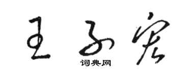 骆恒光王子宏草书个性签名怎么写