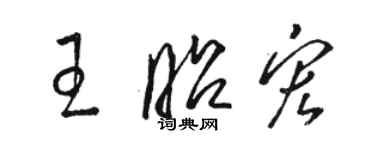 骆恒光王昭宏草书个性签名怎么写