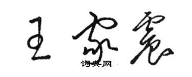 骆恒光王家震草书个性签名怎么写