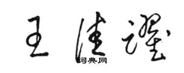 骆恒光王佳跃草书个性签名怎么写
