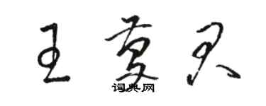 骆恒光王庆君草书个性签名怎么写