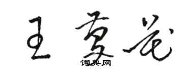骆恒光王庆花草书个性签名怎么写