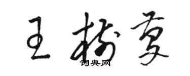 骆恒光王树庆草书个性签名怎么写