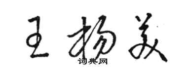 骆恒光王杨美草书个性签名怎么写