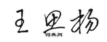 骆恒光王思杨草书个性签名怎么写