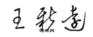 骆恒光王新远草书个性签名怎么写