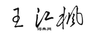 骆恒光王江枫草书个性签名怎么写