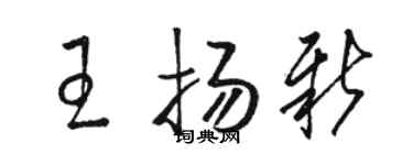 骆恒光王扬新草书个性签名怎么写