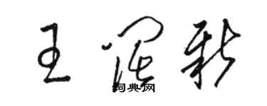 骆恒光王阔新草书个性签名怎么写