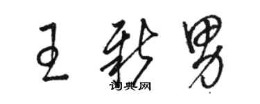 骆恒光王新男草书个性签名怎么写