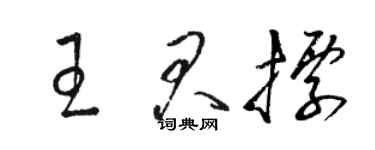 骆恒光王君标草书个性签名怎么写