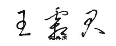 骆恒光王霜君草书个性签名怎么写