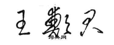 骆恒光王郑君草书个性签名怎么写