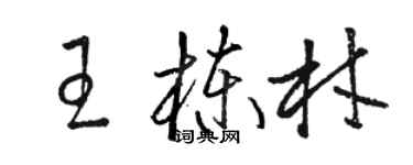 骆恒光王栋材草书个性签名怎么写
