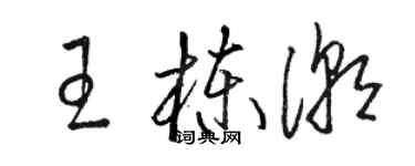 骆恒光王栋潮草书个性签名怎么写