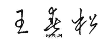 骆恒光王春松草书个性签名怎么写