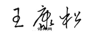 骆恒光王康松草书个性签名怎么写