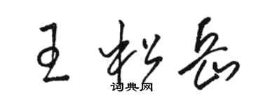 骆恒光王松岳草书个性签名怎么写