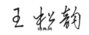 骆恒光王松韵草书个性签名怎么写