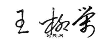 骆恒光王柳荣草书个性签名怎么写