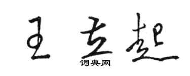 骆恒光王立起草书个性签名怎么写