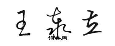 骆恒光王泰立草书个性签名怎么写