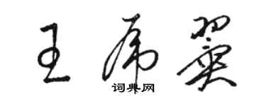 骆恒光王虎翼草书个性签名怎么写