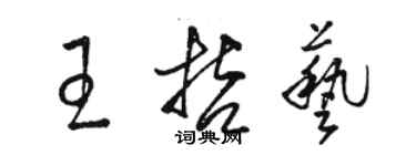 骆恒光王哲艺草书个性签名怎么写