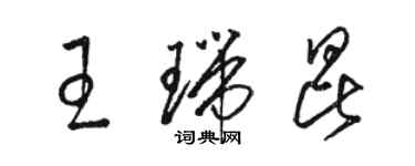 骆恒光王瑞昆草书个性签名怎么写