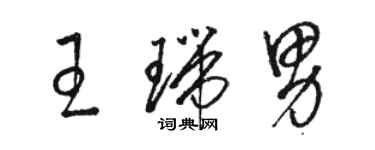 骆恒光王瑞男草书个性签名怎么写