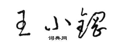 骆恒光王小钢草书个性签名怎么写