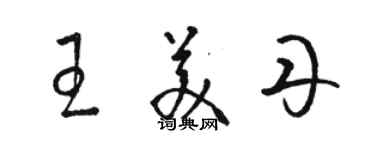 骆恒光王美丹草书个性签名怎么写