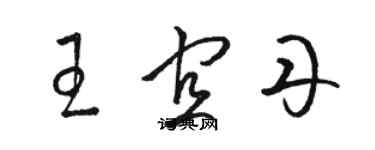骆恒光王宜丹草书个性签名怎么写
