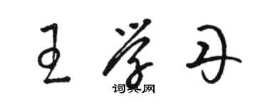 骆恒光王学丹草书个性签名怎么写