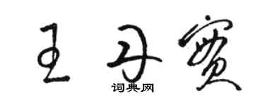 骆恒光王丹实草书个性签名怎么写