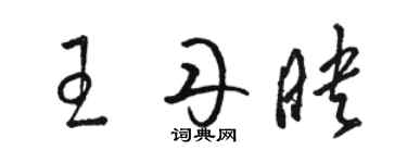 骆恒光王丹映草书个性签名怎么写