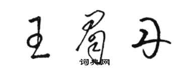 骆恒光王眉丹草书个性签名怎么写