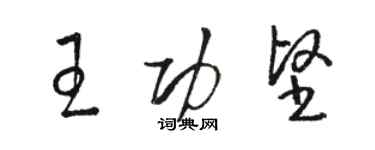骆恒光王功坚草书个性签名怎么写