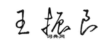 骆恒光王振良草书个性签名怎么写